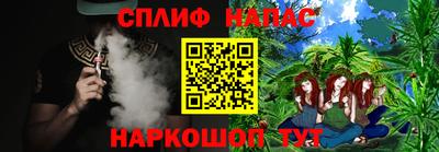 МДПВ Аша