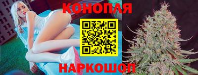 МДПВ Аша
