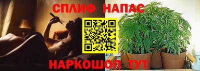 МДПВ Аша
