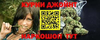 МДПВ Аша